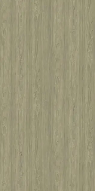 Driftwood.webp