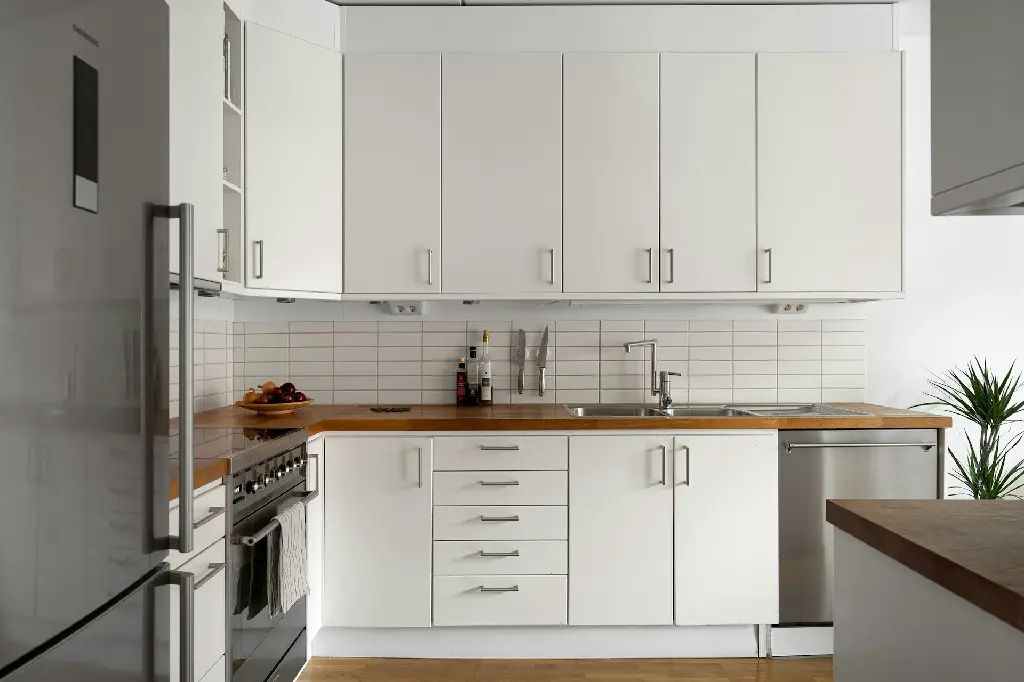 unsplash_QgZZIgk0wEw_flat slab cabinet door face.webp